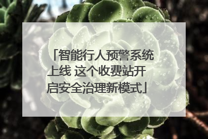 智能行人预警系统上线 这个收费站开启安全治理新模式