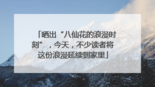 晒出“八仙花的浪漫时刻”，今天，不少读者将这份浪漫延续到家里