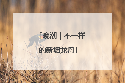 晚潮｜不一样的新塘龙舟