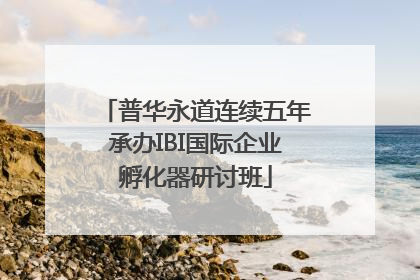 普华永道连续五年承办IBI国际企业孵化器研讨班