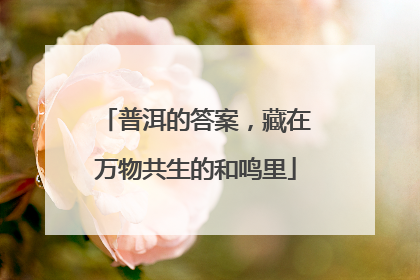 普洱的答案，藏在万物共生的和鸣里
