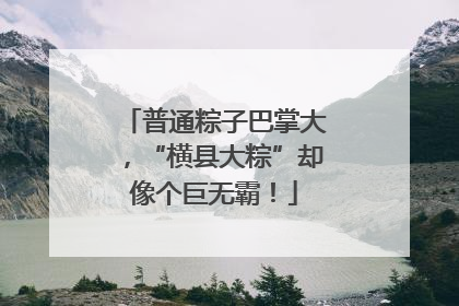 普通粽子巴掌大，“横县大粽”却像个巨无霸！