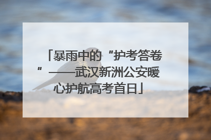 暴雨中的“护考答卷”——武汉新洲公安暖心护航高考首日