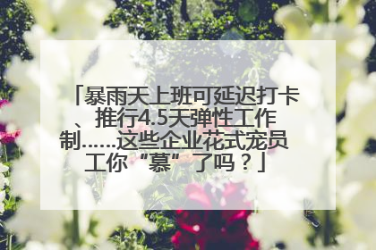 暴雨天上班可延迟打卡、推行4.5天弹性工作制……这些企业花式宠员工你“慕”了吗？