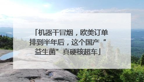 机器干冒烟，欧美订单排到半年后，这个国产“益生菌”真硬核超车