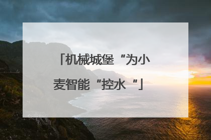 机械城堡“为小麦智能“控水“
