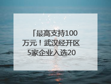 最高支持100万元！武汉经开区5家企业入选2025年度武汉市重点研发计划拟立项项目名单