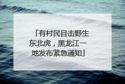 有村民目击野生东北虎，黑龙江一地发布紧急通知