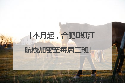 本月起，合肥⇋镇江航线加密至每周三班