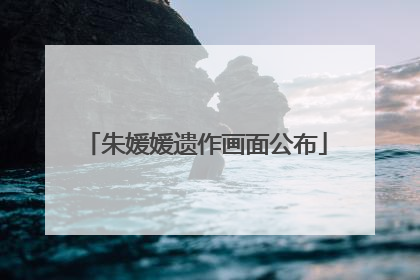 朱媛媛遗作画面公布