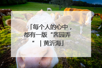 每个人的心中，都有一版“酱园弄”｜黄沂海