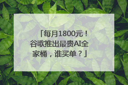 每月1800元！谷歌推出最贵AI全家桶，谁买单？