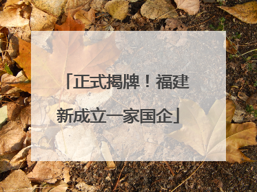 正式揭牌！福建新成立一家国企