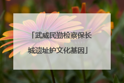 武威民勤检察保长城遗址护文化基因