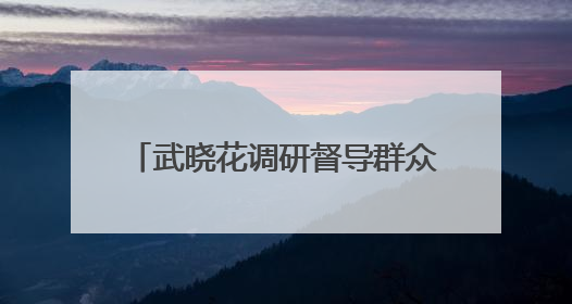 武晓花调研督导群众身边不正之风和腐败问题集中整治工作
