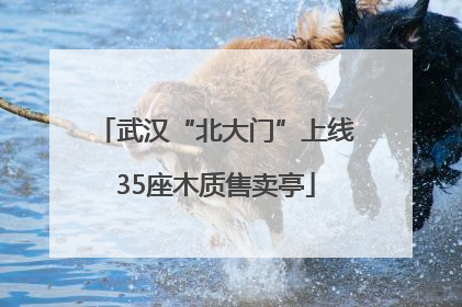 武汉“北大门”上线35座木质售卖亭