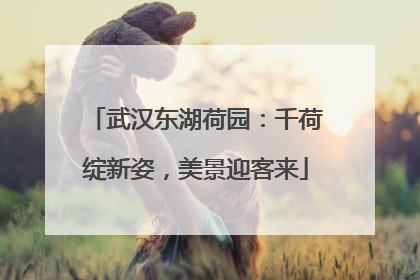 武汉东湖荷园：千荷绽新姿，美景迎客来