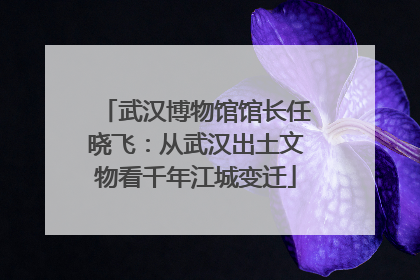 武汉博物馆馆长任晓飞：从武汉出土文物看千年江城变迁