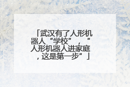 武汉有了人形机器人“学校”，“人形机器人进家庭，这是第一步”