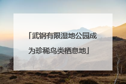武钢有限湿地公园成为珍稀鸟类栖息地