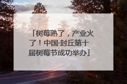 树莓熟了，产业火了！中国·封丘第十届树莓节成功举办