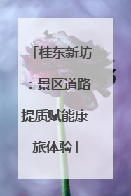 桂东新坊：景区道路提质赋能康旅体验