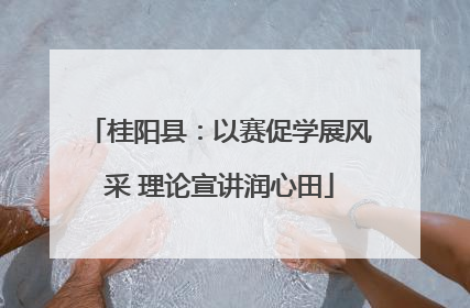 桂阳县：以赛促学展风采 理论宣讲润心田