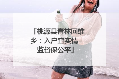桃源县青林回维乡：入户查实情 监督保公平