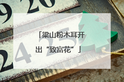 梁山粉木耳开出“致富花”