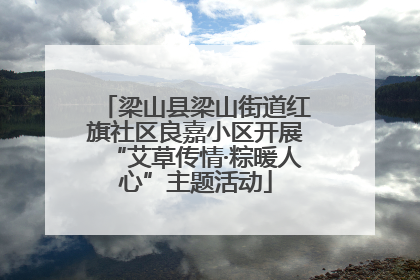 梁山县梁山街道红旗社区良嘉小区开展“艾草传情·粽暖人心”主题活动