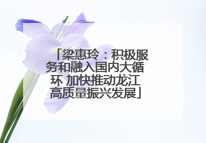 梁惠玲：积极服务和融入国内大循环 加快推动龙江高质量振兴发展