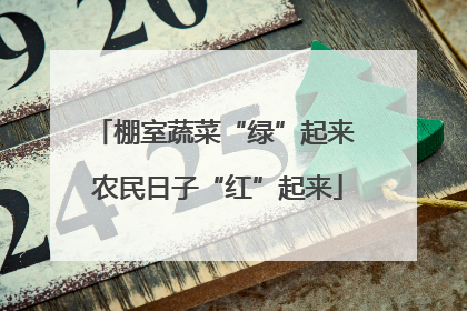 棚室蔬菜“绿”起来 农民日子“红”起来