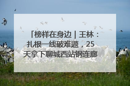 榜样在身边｜王林：扎根一线破难题，25天拿下聊城西站钢连廊“硬核”工程