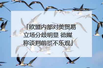 欧盟内部对美贸易立场分歧明显 德媒称谈判前景不乐观
