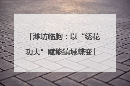 潍坊临朐：以“绣花功夫”赋能镇域蝶变