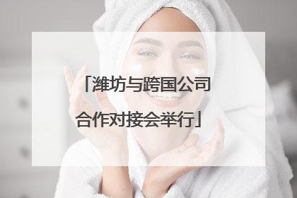 潍坊与跨国公司合作对接会举行