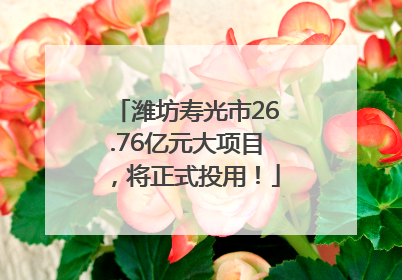 潍坊寿光市26.76亿元大项目，将正式投用！