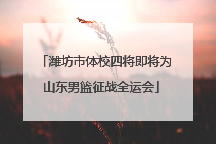 潍坊市体校四将即将为山东男篮征战全运会