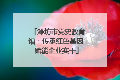 潍坊市党史教育馆：传承红色基因 赋能企业实干
