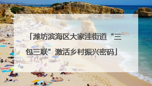 潍坊滨海区大家洼街道“三包三联”激活乡村振兴密码