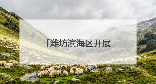 潍坊滨海区开展2025年“一喷三防”工作