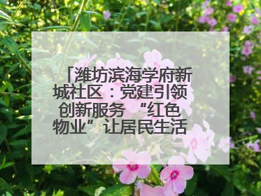 潍坊滨海学府新城社区：党建引领创新服务 “红色物业”让居民生活“幸福满格”