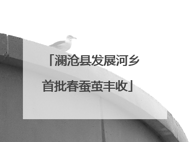 澜沧县发展河乡首批春蚕茧丰收