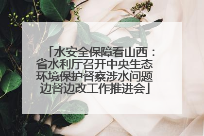 水安全保障看山西：省水利厅召开中央生态环境保护督察涉水问题边督边改工作推进会