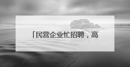 民营企业忙招聘，高技能人才很吃香——河北省个体私营企业网络招聘大会扫描