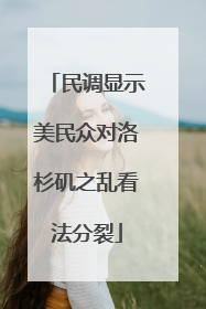 民调显示美民众对洛杉矶之乱看法分裂