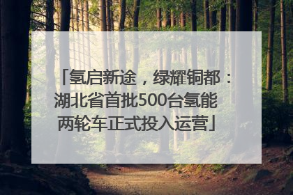 氢启新途，绿耀铜都：湖北省首批500台氢能两轮车正式投入运营