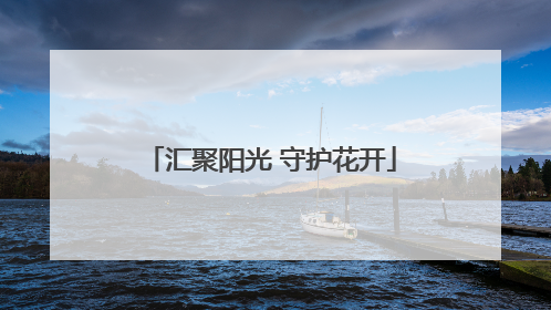 汇聚阳光 守护花开
