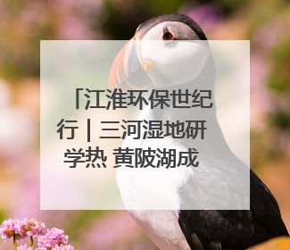 江淮环保世纪行｜三河湿地研学热 黄陂湖成鸟类天堂