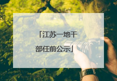 江苏一地干部任前公示